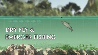 Dry Flies amp Emergers  How to Use [upl. by Elinnet621]