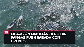 Como nunca desbordada la pesca ilegal de Totoaba en hábitat de vaquita marina [upl. by Ariada281]