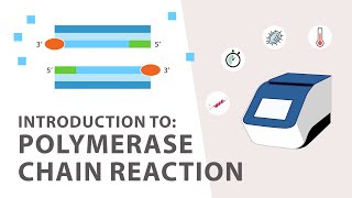 1 PCR Polymerase Chain Reaction Tutorial  An Introduction [upl. by Milore]