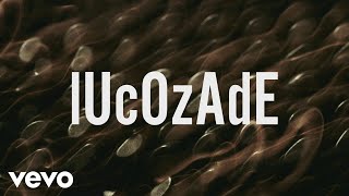 ZAYN  lUcOzAdE Lyric Video [upl. by Hras597]