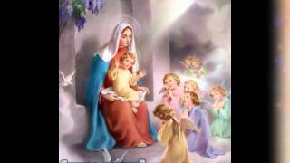 VAILANKANNI MATHA TAMIL SONGS ROMAN CATHOLIC CHRISTIAN SONG NON STOP Tamil Hymns to Mary [upl. by Ailel]