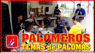 PALOMEROS y TEMAS de PALOMAS [upl. by Gildus]