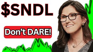 SNDL STOCK TOMORROW CRAZY buy SNDL [upl. by Haywood530]