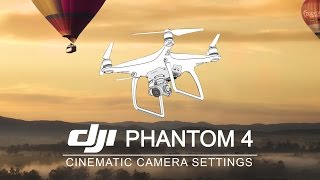 DJI Phantom 4  Best Camera Settings [upl. by Kamp]