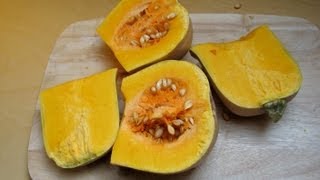 Butternut Pumpkin Squash Cucurbita moschata  Doubeurre [upl. by Nivrag]