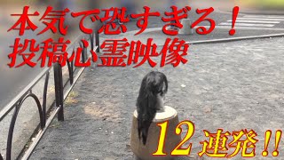 【期間限定配信】本気で恐すぎる！投稿心霊映像12連発！ [upl. by Inajna]