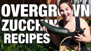 How to Cook an Overgrown Zucchini [upl. by Cirala]