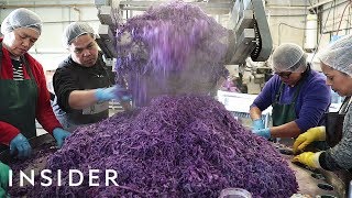 How Sauerkraut Is Made [upl. by Endo317]