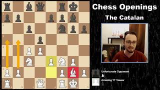 How to play the Catalan  10Minute Chess Openings [upl. by O'Dell]