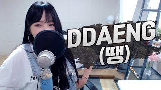 BTS방탄소년단  DDAENG땡 COVER by 새송｜SAESONG [upl. by Tiff940]