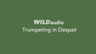 WILDaudio Trumpeting in Despair [upl. by Hinda419]