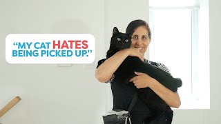 Teach Your Cat To Enjoy Being Picked Up [upl. by Stoneham]