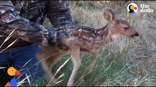 CRYING Fawn Rescued From Hole Reunites With Mom  The Dodo [upl. by Riti968]