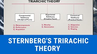 STERNBERGS TRIARCHIC THEORY OF INTELLIGENCE [upl. by Dzoba673]