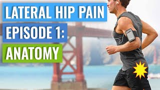 Episode 1  Lateral Hip Pain Anatomy Gluteal Tendinopathy  Bursitis [upl. by Adrianne]