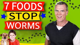 7 Household Foods That Get Rid Of Dog Worms [upl. by Huntington204]