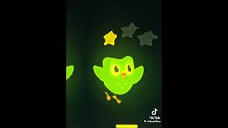 Duolingo TikTok edits [upl. by Arrak]