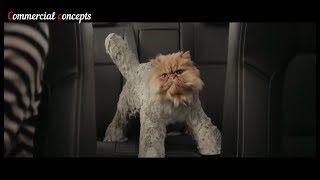 top 5 Cat funny car commercials [upl. by Aihsenrad106]