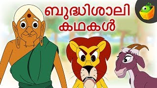 ബുദ്ധിശാലി കഥകൾ  Clever Stories For Kids  Moral Stories  Magicbox Malayalam [upl. by Ettedanreb]