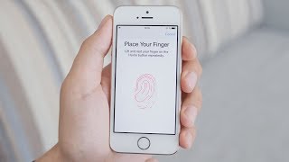 How Does Fingerprint Scanning Work [upl. by Coussoule]