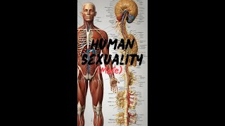 Human Sexuality Male [upl. by Barris794]