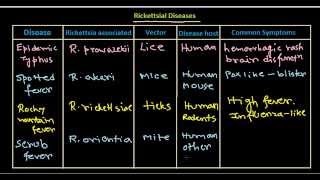 Rickettsial disease [upl. by Bidle]