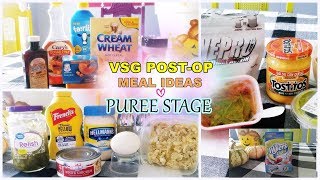 WHAT I EAT AFTER VSG 18 DAYS POSTOP  PUREE STAGE [upl. by Stella]