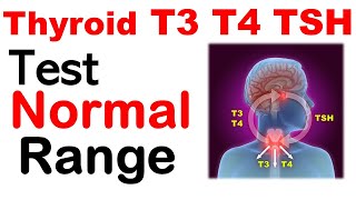 Thyroid t3 t4 tsh normal values  Thyroid test normal range [upl. by Lora]