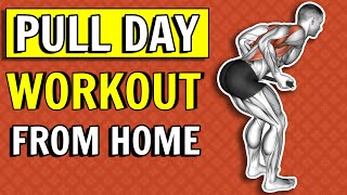 Home Back amp Biceps Workout No Equipment Pull Day Workout Without Equipment [upl. by Anilef]