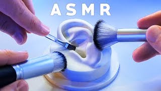 ASMR XXL Brushing amp Brushes ONLY Compilation NO TALKING Tingle Study Sleep Relax [upl. by Carlick455]