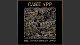 Cash App [upl. by Ttelrahc]