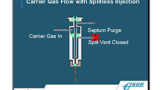 Gas ChromatographyMass Spectrometry GCMS Principles amp Techniques [upl. by Ennayehc]