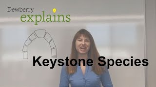 What are Keystone Species [upl. by Crofton]