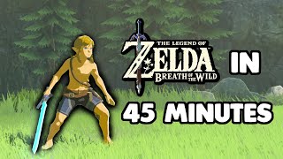 How to beat Breath of the Wild in 45 MINUTES [upl. by Tanah296]