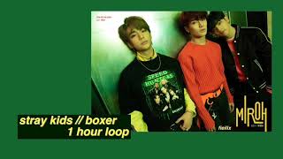 1 hour loop  stray kids  boxer [upl. by Klehm]