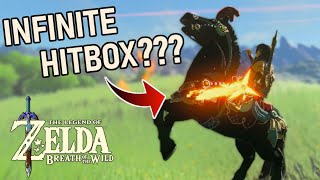 5 Advanced Combat Glitches and Tricks in The Legend of Zelda Breath of the Wild [upl. by Halette]