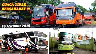 Aktifitas Terminal Bus Bubulak Bogor di Pagi Hari [upl. by Enitsuj255]