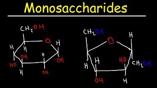 Monosaccharides  Glucose Fructose Galactose amp Ribose  Carbohydrates [upl. by Gerstein]