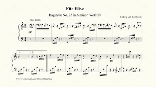 Beethoven Für Elise [upl. by Etat493]