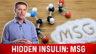 The Hidden Insulin MSG – Monosodium Glutamate Explained by DrBerg [upl. by Garnes32]