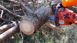 Chainsaw Husqvarna 120 Mark II First cutting wood [upl. by Ednihek370]