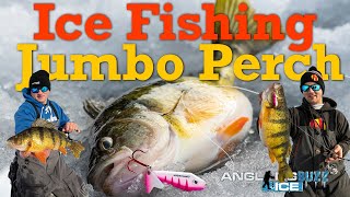 Ice Fishing Jumbo Perch [upl. by Cross26]