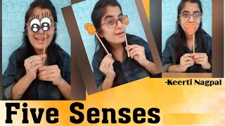 Sensory Organs For Kids  Sensory Organs And Their Functions  Five 5 Senses  Science  Grade 3 [upl. by Roee651]