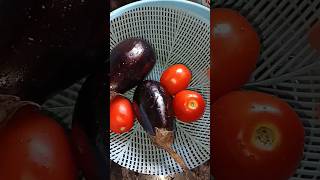 बैंगनshortsrecipe reels food youtubeshorts baiganchokha [upl. by Lynda]