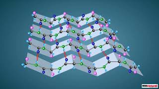 Proteins and their Structure [upl. by Arema892]