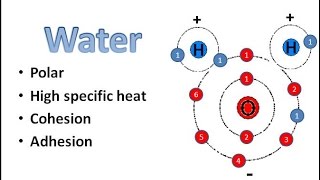 Water Chemistry [upl. by Atiuqan]