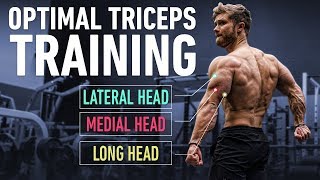 How To Build Huge Triceps with Optimal Training Technique [upl. by Immanuel]