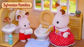 Spring Clean ✨🌸 Toy Play Compilation  Sylvanian Families [upl. by Jenica]