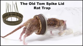 The Old Tom Spike Lid Rat Trap Fail Mousetrap Monday [upl. by Rondi]