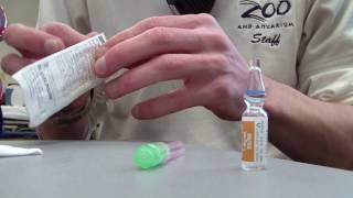 How to Prepare Epinephrine 11000 [upl. by Lehcim795]